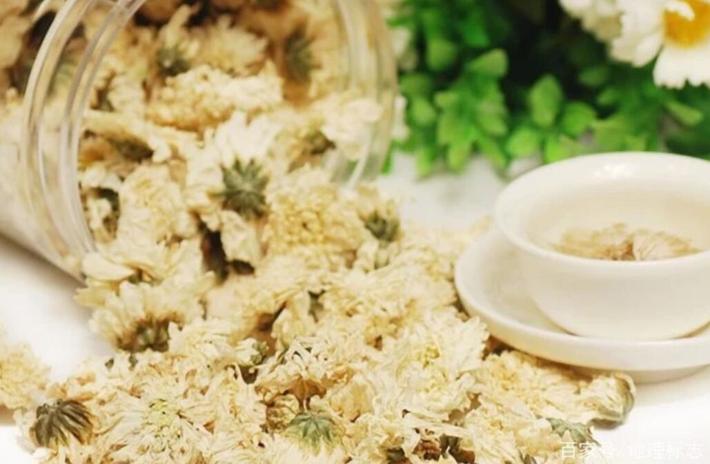 本地原生白菊花,4步制成菊花茶