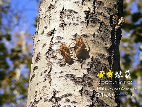 铁艺双人床-知心爱人 